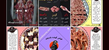 پروتئین  سرای بابل